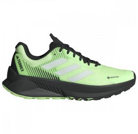 Чоловічі кросівки Adidas Terrex Soulstride Gore-Tex IG8028