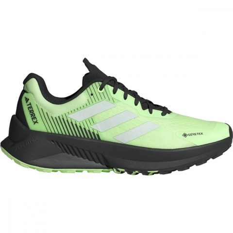 Мужские кроссовки Adidas Terrex Soulstride Gore-Tex IG8028_image_1
