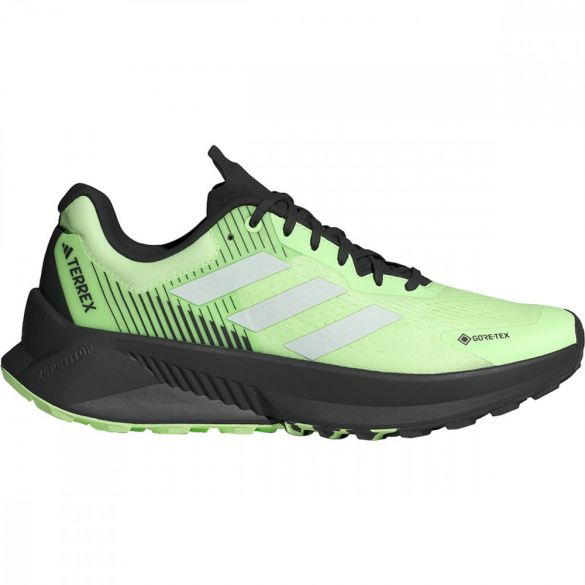 Мужские кроссовки Adidas Terrex Soulstride Gore-Tex IG8028_image_1