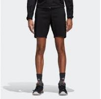 Шорты Adidas Terrex Liteflex CY9093_image_8