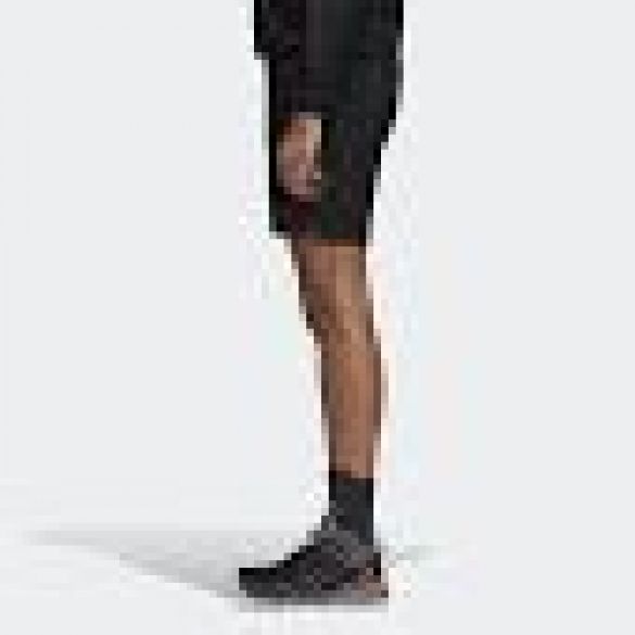 Шорты Adidas Terrex Liteflex CY9093_image_2