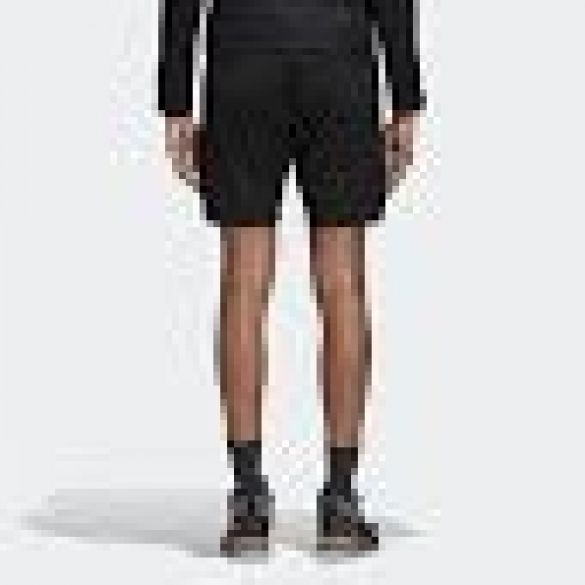 Шорты Adidas Terrex Liteflex CY9093_image_4