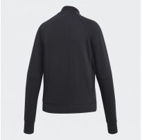 Спортивный костюм Adidas WTS New Co Mark DV2434_image_3