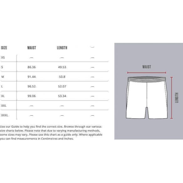 Компрессионные шорты Bad Boy Vale Tudo _image_6