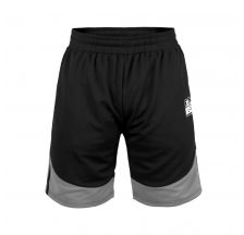 Шорти Bad Boy Force Black / Grey 210611