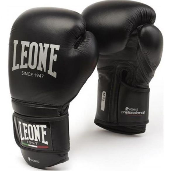 Боксерські рукавички Leone Professional Black 500026_image_1