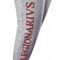Спортивні штани Leone Legionarivs Fleece Grey 500064