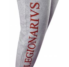 Спортивні штани Leone Legionarivs Fleece Grey 500064