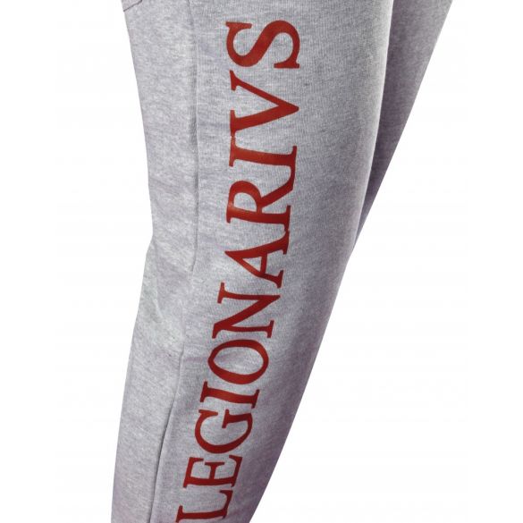 Спортивные штаны Leone Legionarivs Fleece Grey 500064_image_2