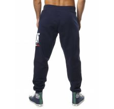 Спортивні штани Leone Fleece Blue 500067
