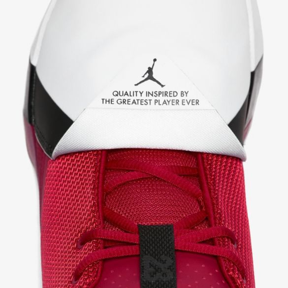 Мужские кроссовки Nike Jordan Ultra Fly 3 AR0044-601_image_4