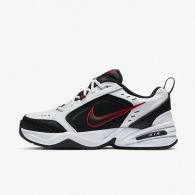 Кроссовки Nike Air Monarch IV 415445-101