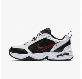Кросівки Nike Air Monarch IV 415445-101