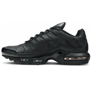 Мужские кроссовки Nike Air Max Plus AJ2029-001