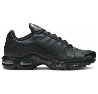 Мужские кроссовки Nike Air Max Plus AJ2029-001