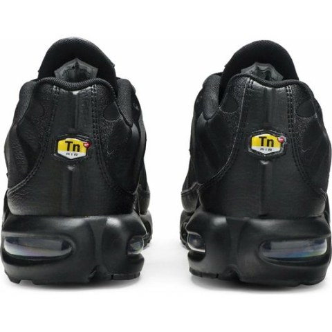 Мужские кроссовки Nike Air Max Plus AJ2029-001_image_6