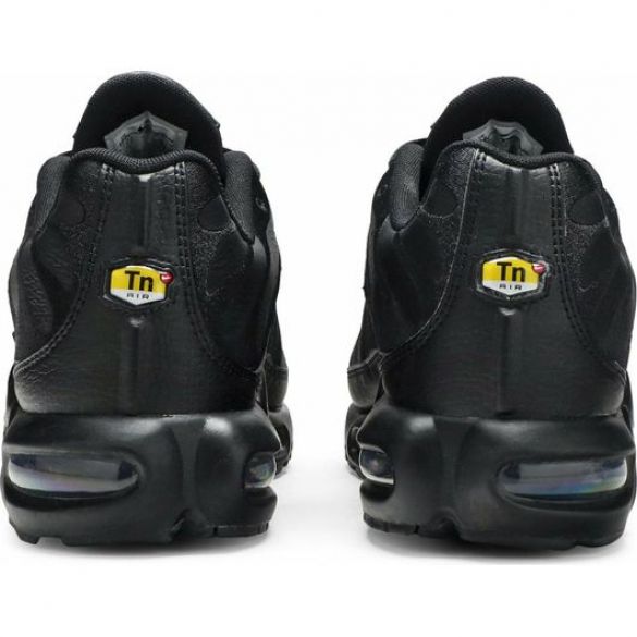 Чоловічі кросівки Nike Air Max Plus AJ2029-001_image_6