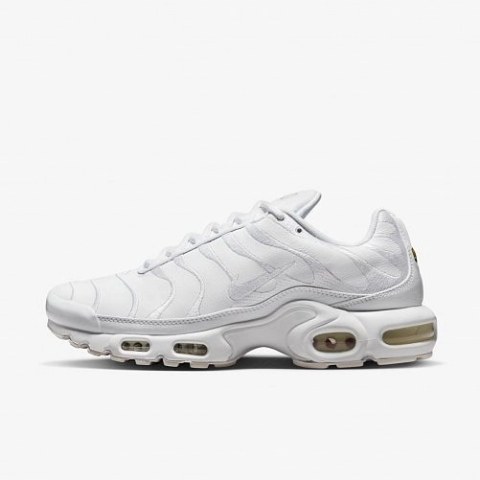 Мужские кроссовки Nike Air Max Plus AJ2029-100_image_2