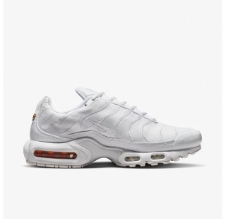 Мужские кроссовки Nike Air Max Plus AJ2029-100