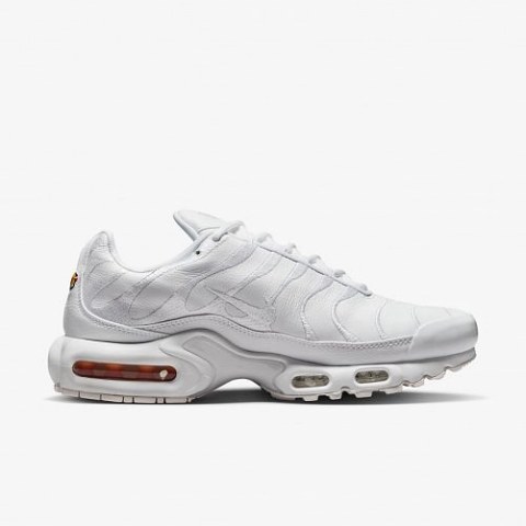 Мужские кроссовки Nike Air Max Plus AJ2029-100_image_1