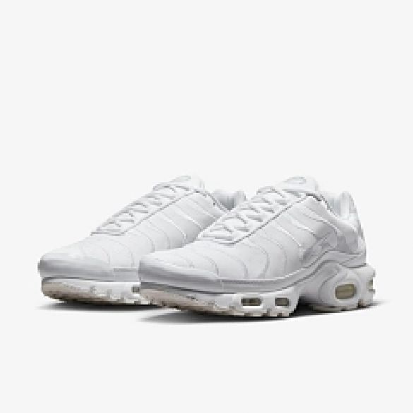 Чоловічі кросівки Nike Air Max Plus AJ2029-100_image_3