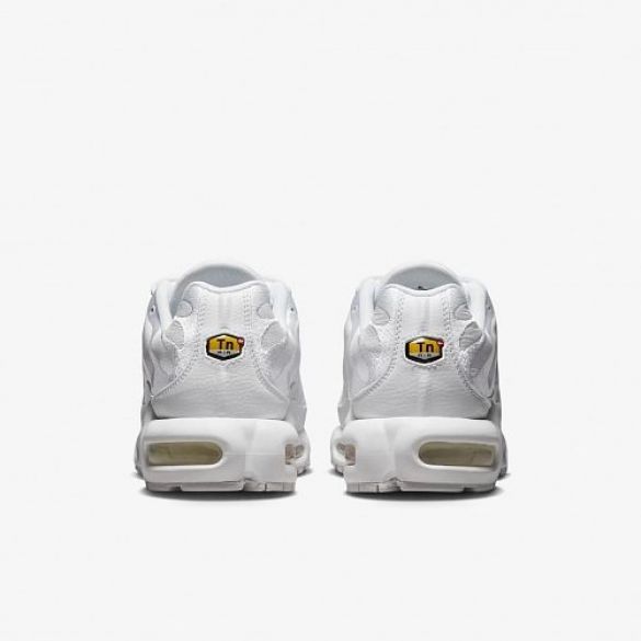 Чоловічі кросівки Nike Air Max Plus AJ2029-100_image_8