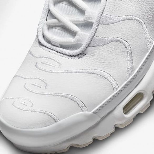 Чоловічі кросівки Nike Air Max Plus AJ2029-100_image_6