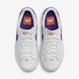 Кеди Nike Sb Zoom Pogo Plus Iso DZ4916-100_image_3