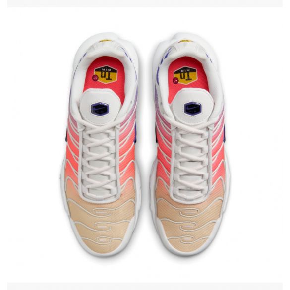 Кросівки жіночі Nike Air Max Plus Multi DZ3670-003_image_5