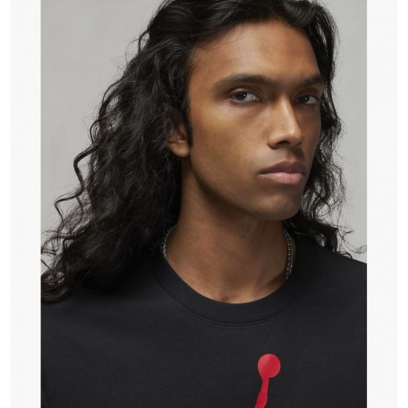 Футболка чоловіча Air Jordan J Jd Air Stretch Ss Dv1445-010_image_4