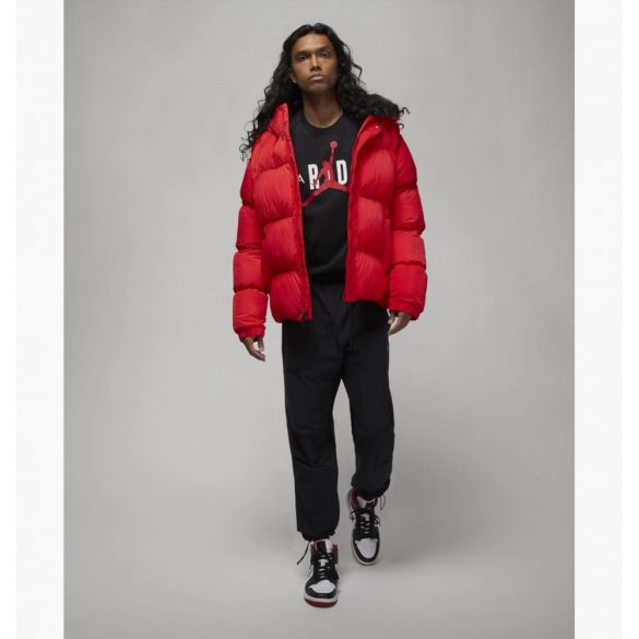 Футболка чоловіча Air Jordan J Jd Air Stretch Ss Dv1445-010_image_3