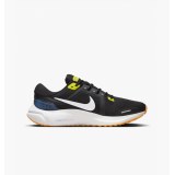 Кросівки Nike Air Zoom Vomero 16 DA7245-012_image_1