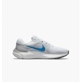 Кросівки Nike Air Zoom Vomero 16 DA7245-101_image_1