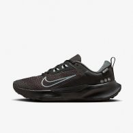 Кроссовки Nike Wmns Juniper Trail 2 Gtx FB2065-001
