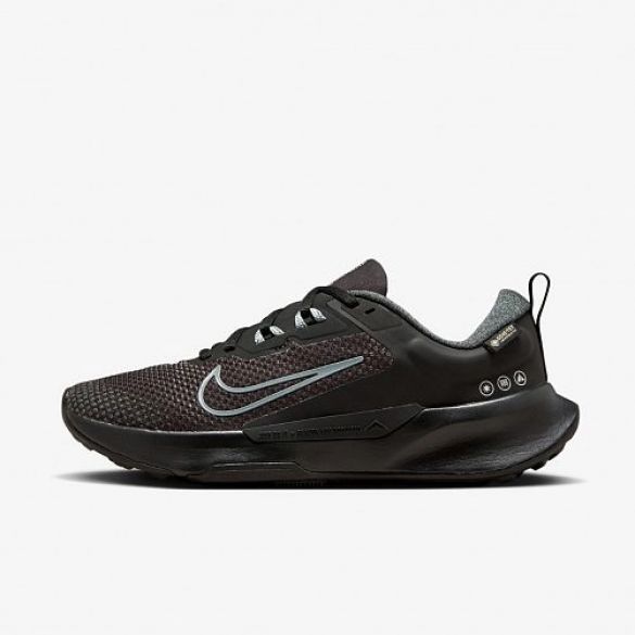 Кросівки Nike Wmns Juniper Trail 2 Gtx FB2065-001_image_2