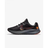 Кросівки Nike Zoom Winflo 8 Shield DC3727-200_image_2