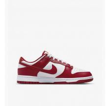 Чоловічі кросівки Nike Dunk Low Retro DD1391-602