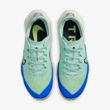 Кросівки Nike Air Zoom Terra Kiger 8 Dh0654-301_image_7