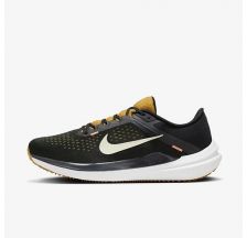 Чоловічі кросівки Nike Air Winflo 10 DV4022-009