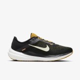 Чоловічі кросівки Nike Air Winflo 10 DV4022-009_image_1