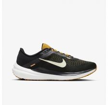 Чоловічі кросівки Nike Air Winflo 10 DV4022-009