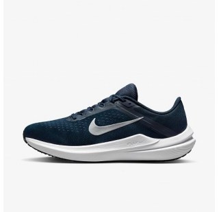 Чоловічі кросівки Nike Air Winflo 10 DV4022-400