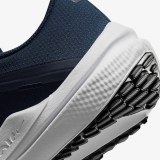 Чоловічі кросівки Nike Air Winflo 10 DV4022-400_image_4