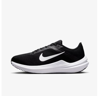 Кросівки Жіночі Nike Winflo 10 Beige DV4023-003