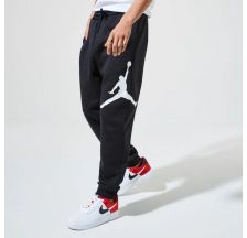 Штани чоловічі Jordan Jumpman Logo Flc Pant BQ8646-010
