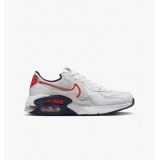 Кросівки чоловічі Nike Air Max Excee DZ0795-013_image_1
