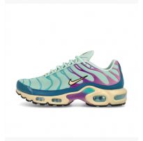 Кроссовки Nike Air Max Plus DZ3671-300_image_6