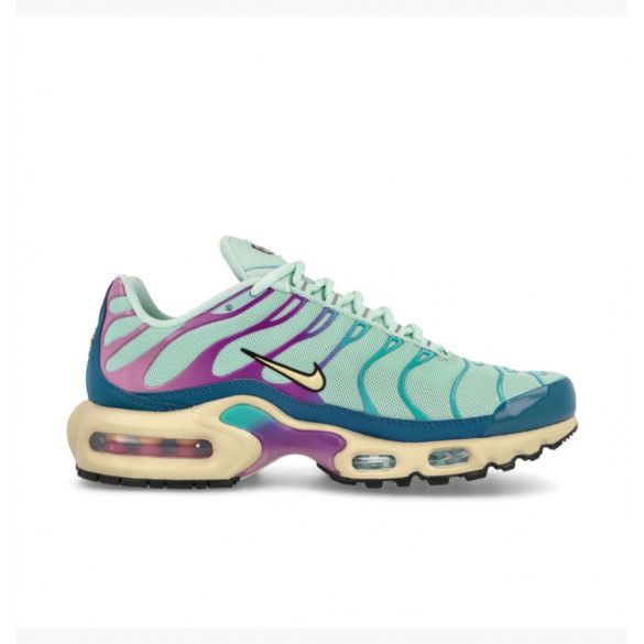 Кроссовки Nike Air Max Plus DZ3671-300_image_1