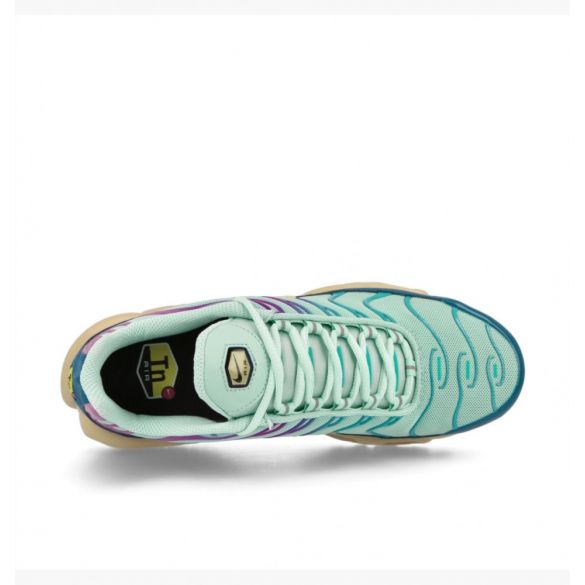 Кросівки Nike Air Max Plus DZ3671-300_image_6