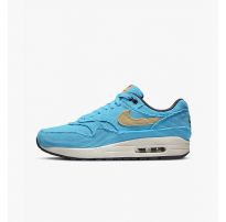 Кроссовки мужские Nike Air Max 1 Prm Corduroy FB8915-400_image_6